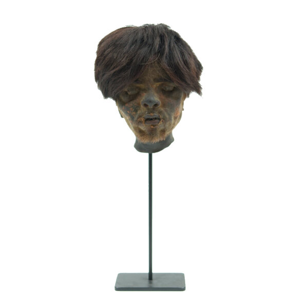 Shrunken head Harry
