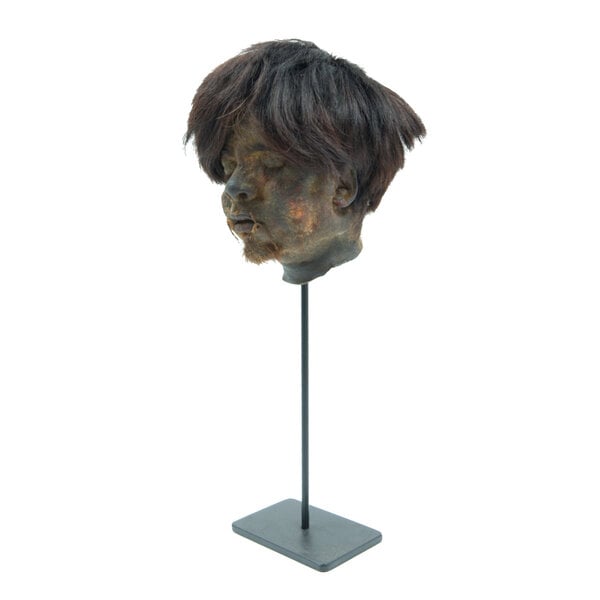 Shrunken head Harry