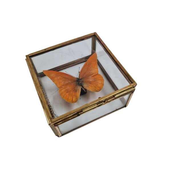 Glazen kistje met messing (S)