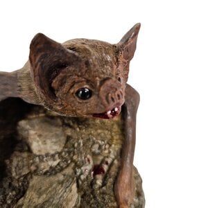 Halloween Vampir-Fledermaus - 'Vladermaus'