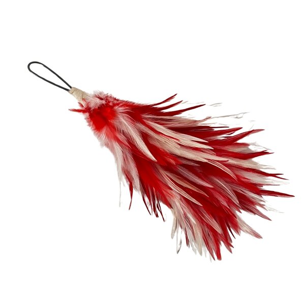 Pluim rood/wit gemengd