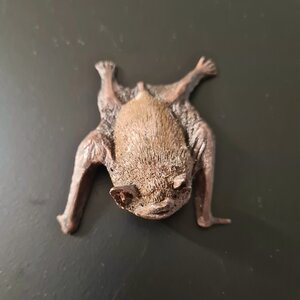 Vampire bat magnet