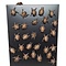 Vampire bat magnet