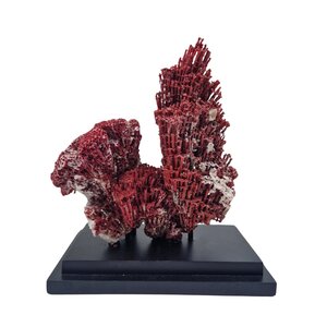 Rood orgelpijp koraal op voet (B)