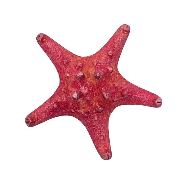Red starfish