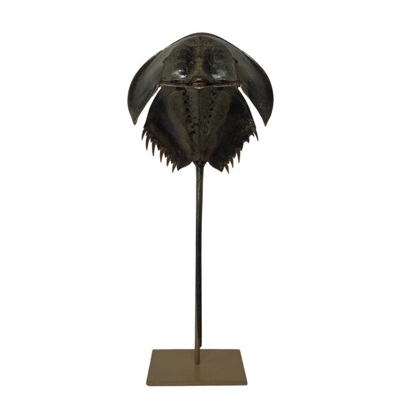 Horseshoe crab on golden pedestal