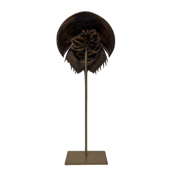 Horseshoe crab on golden pedestal
