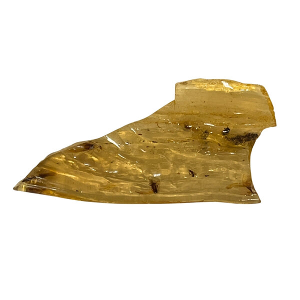 Baltische Barnsteen met insecten (C)