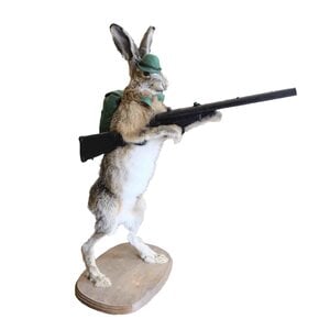 Opgezette haas Buks Bunny (B)