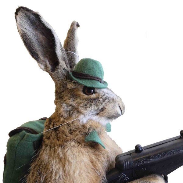 Opgezette haas Buks Bunny (B)