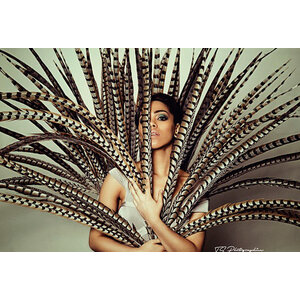 Koningsfazant veren 115 cm - 127 cm per 5  (F5)