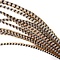 Reeves Pheasant feathers 150 cm per 5 (F5)