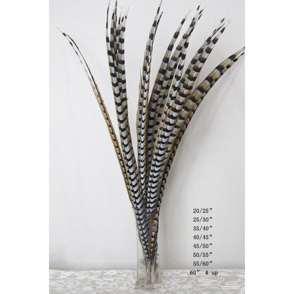 Reeves Pheasant feathers 115 cm - 127 cm per 5  (F5)