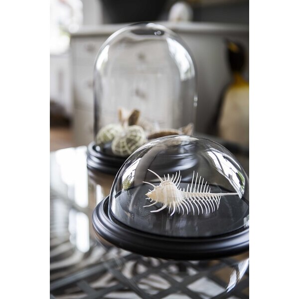 Glass dome - 40 cm x 20 cm