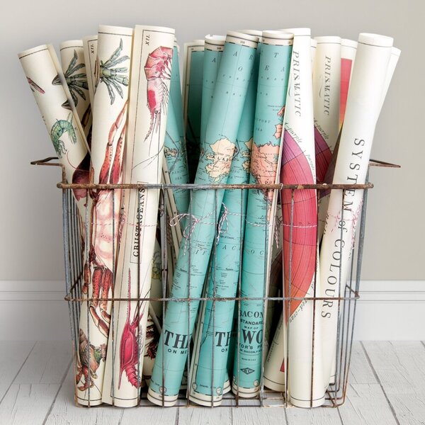 School poster - butterflies (C)