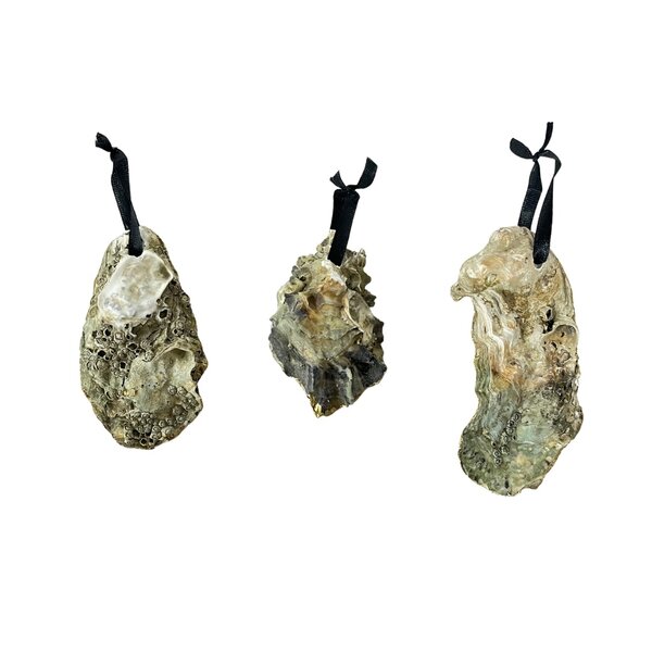 Golden oyster Christmas ornament