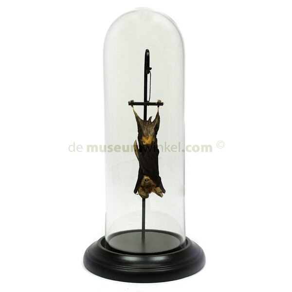 Glocke mit fledermaus