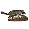 Mounted raccoon (A)