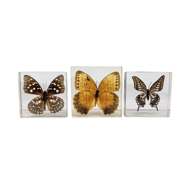 Set of 3 butterflies in resin