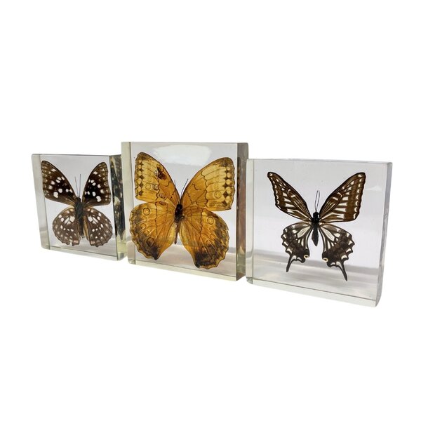 Set of 3 butterflies in resin