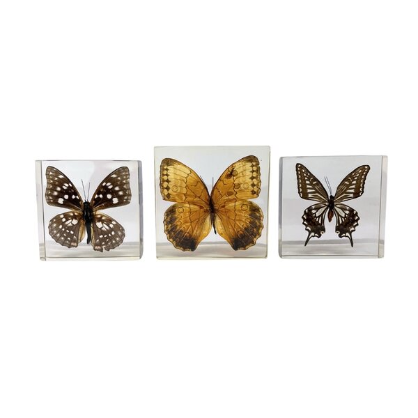 Set of 3 butterflies in resin