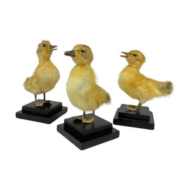 Mounted yellow duck on pedestal