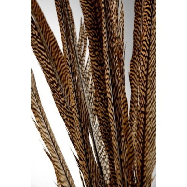 Golden Pheasant feather circa 70-80 cm