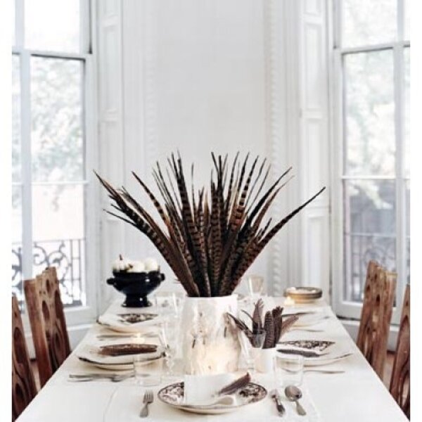 Golden Pheasant feather circa 70-80 cm