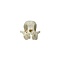 Shih- Tzu Dog Skull