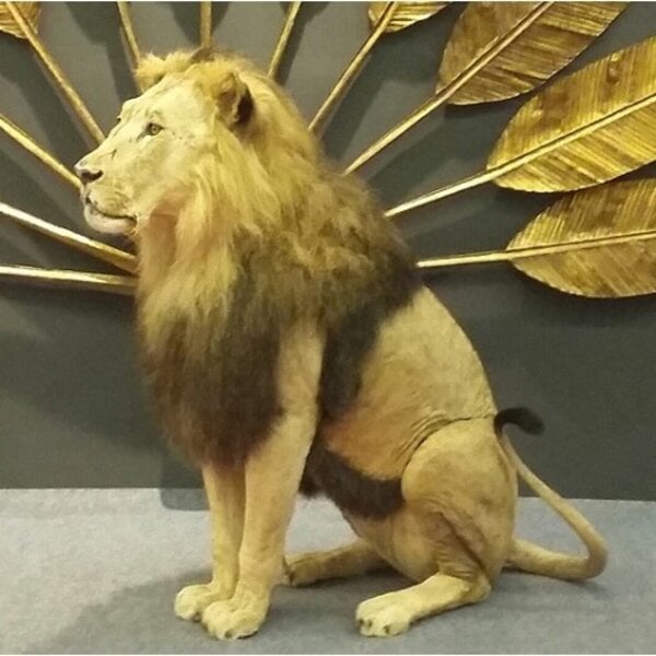 Mounted Lion