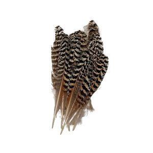 Peacock wing feather 20 cm per 10 pieces