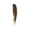 Peacock wing feather 20 cm per 10 pieces