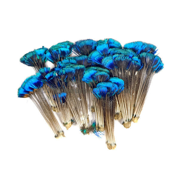 Pfaufedern Krone (25 Stück)