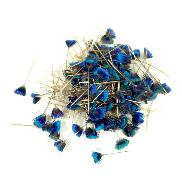 Peacock crown feathers (per 25 )