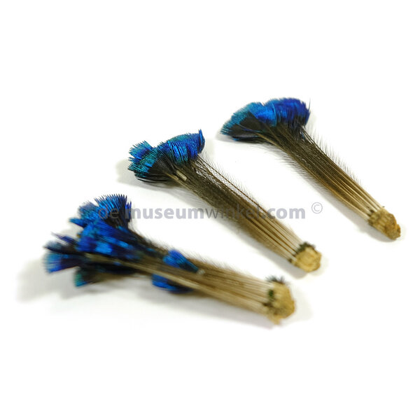 Peacock crown feathers (per 25 )