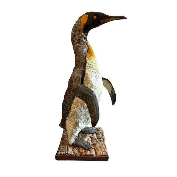 Opgezette Pinguin (Antiek)