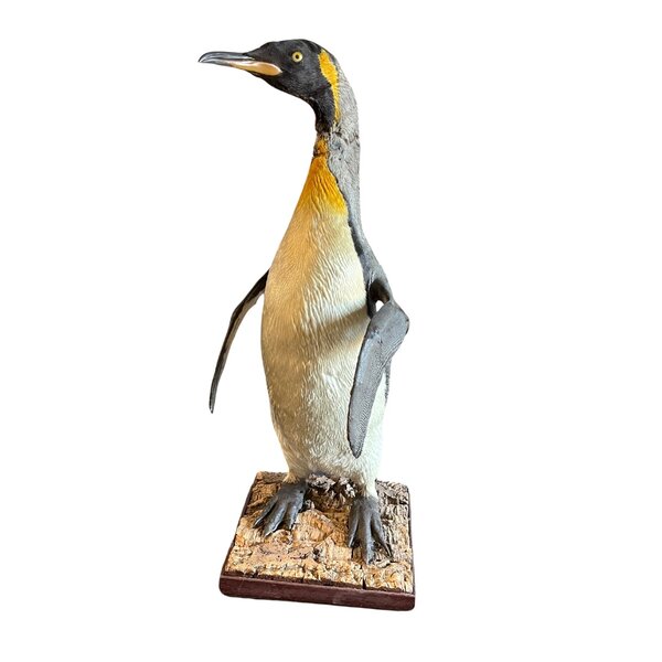 Mounted Penguin (Antique)