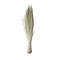 Feather Bundle Chicken