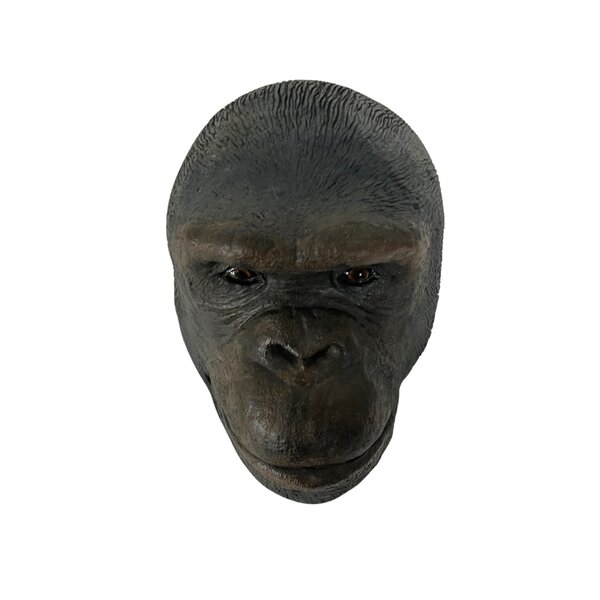 Bonobo head Casting