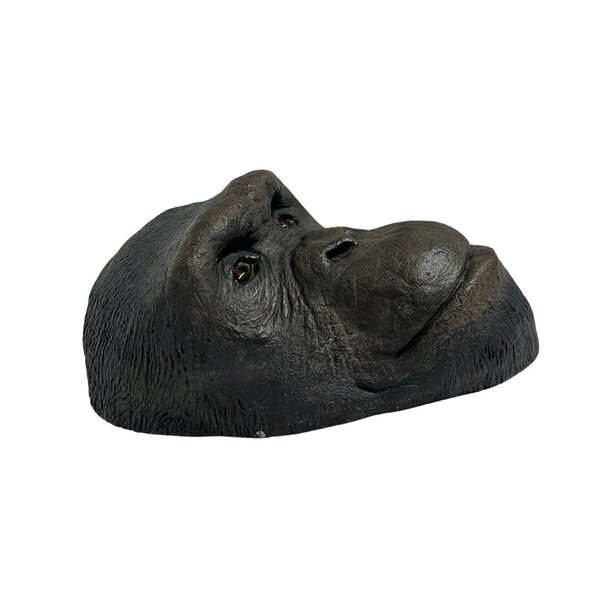 Bonobo hoofd Afgietsel