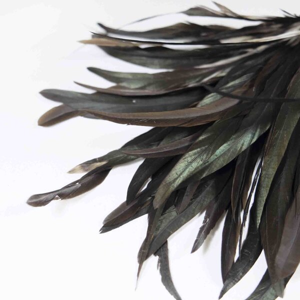 Rooster feathers brown 20-30 cm per 50 pieces