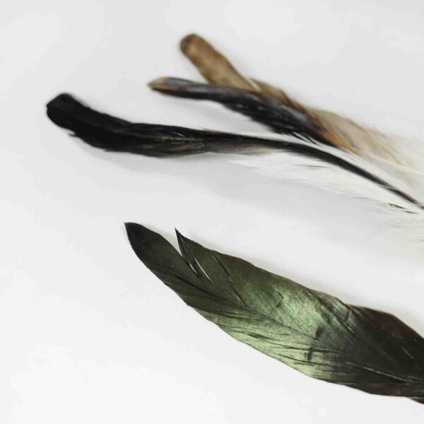 Rooster feathers brown 20-30 cm per 50 pieces