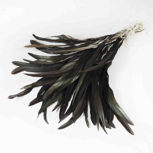 Rooster feathers brown 20-30 cm per 50 pieces