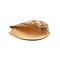 Seasnail Melo umbilicatus