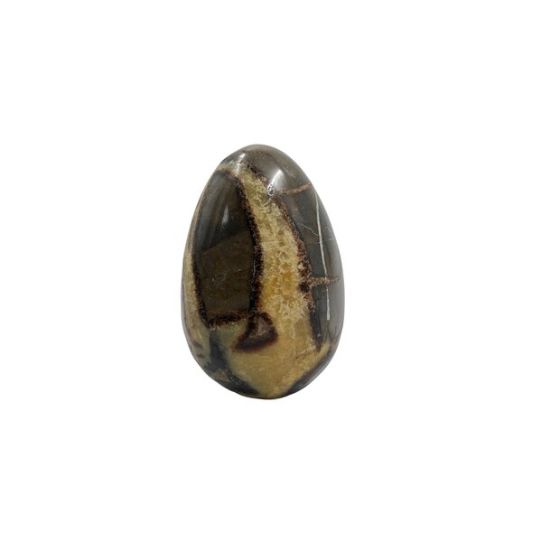 Septaric gemstone egg
