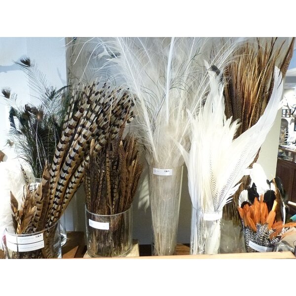 Lady amherst Pheasant feathers (red)