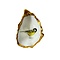 Handgedecoreerde gouden oester diverse prints
