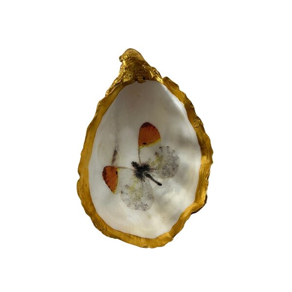 Handdekorierte goldene Auster verschiedene Drucke