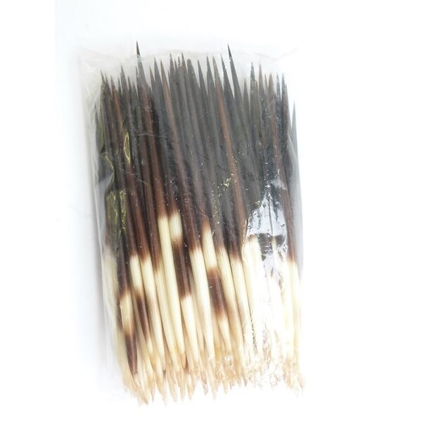 Porcupine quills  XL 25 pieces