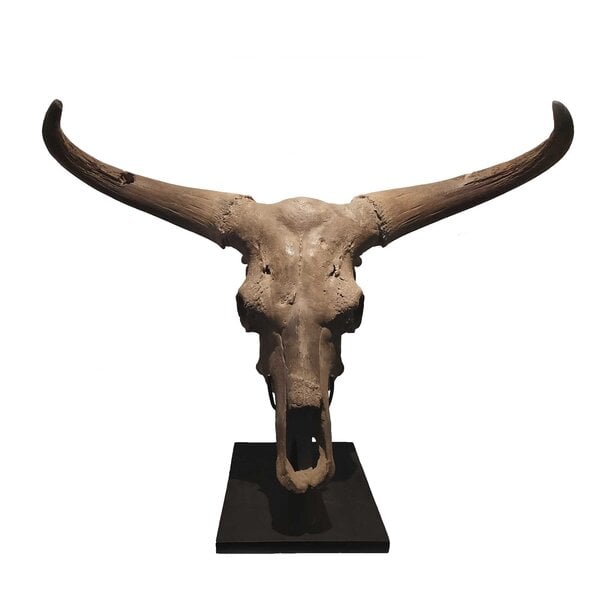 Gefossiliseerde Oeros